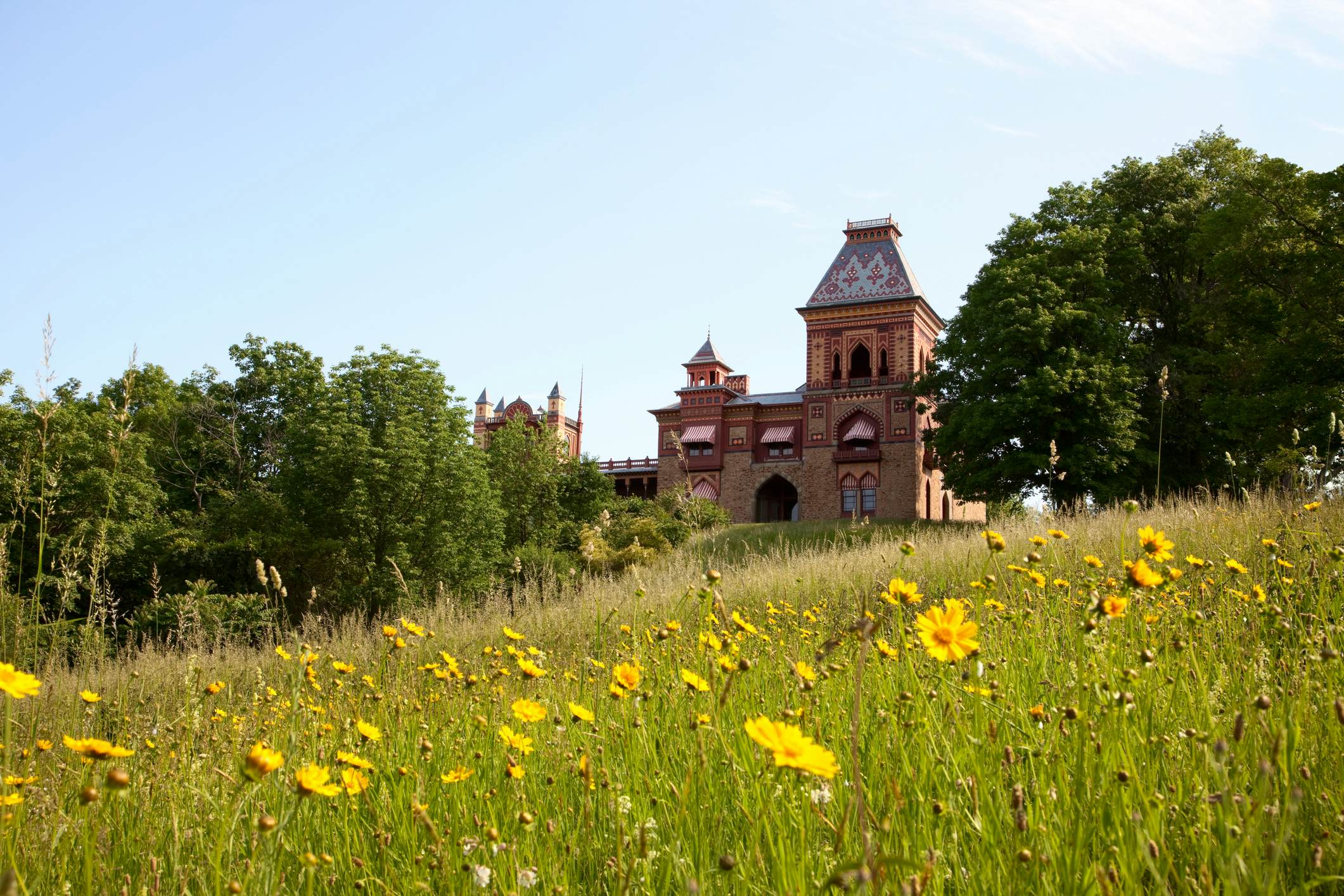 Olana, the estate of Hudson River School artist Frederic Edwin Church, is located in the Catskills overlooking the Hudson River in New York. In spring coreopsis bloom in the meadows surrounding it.